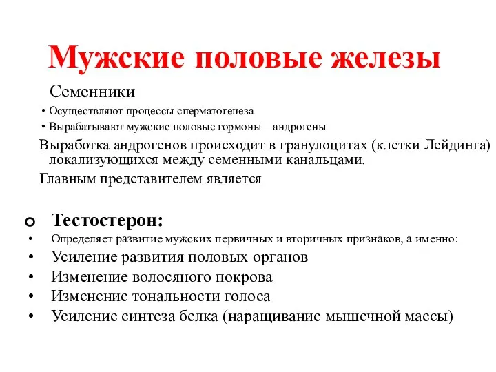 Семенники Осуществляют процессы сперматогенеза Вырабатывают мужские половые гормоны – андрогены Выработка андрогенов