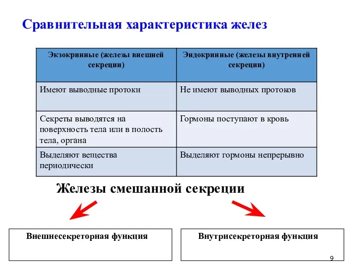 Сравнительная характеристика желез Внешнесекреторная функция Внутрисекреторная функция Железы смешанной секреции