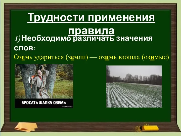 Трудности применения правила 1) Необходимо различать значения слов: Оземь удариться (земли) — озимь взошла (озимые)