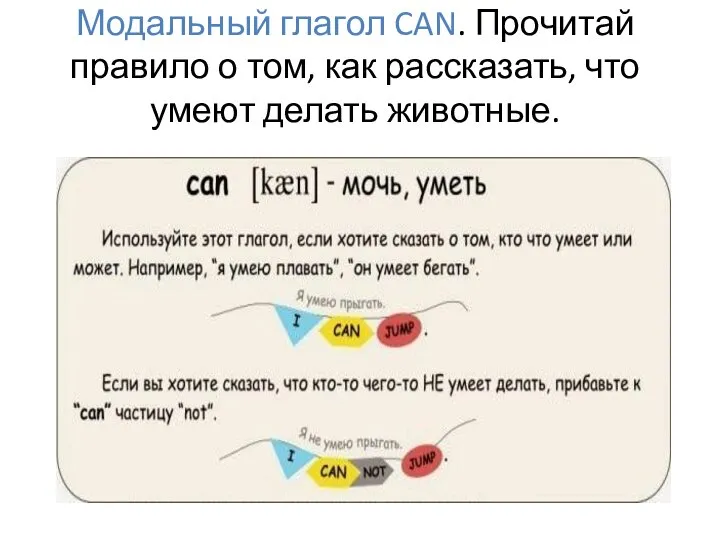 Модальный глагол CAN. Прочитай правило о том, как рассказать, что умеют делать животные.