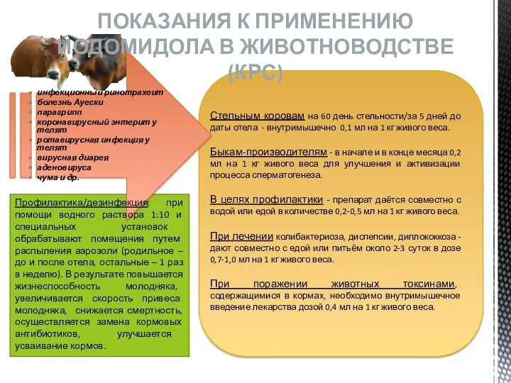 инфекционный ринотрахеит болезнь Ауески парагрипп коронавирусный энтерит у телят ротавирусная инфекция у