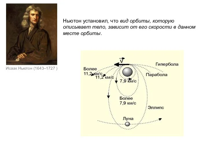 Исаак Ньютон (1643–1727 ) Ньютон установил, что вид орбиты, которую описывает тело,