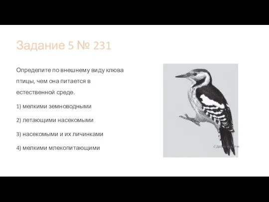 Задание 5 № 231 Определите по внешнему виду клюва птицы, чем она