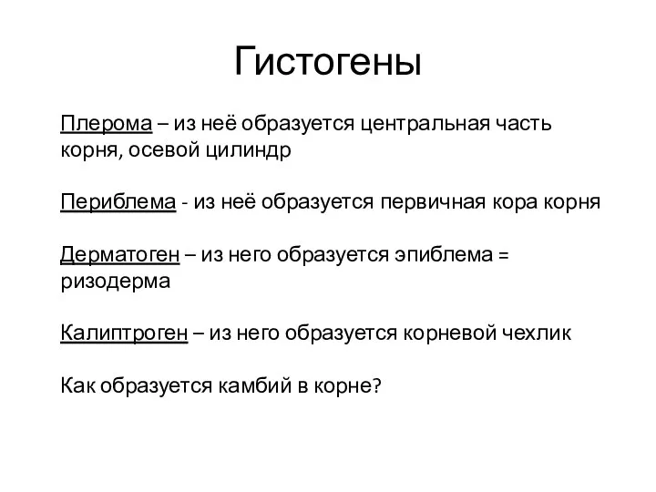 Гистогены Плерома – из неё образуется центральная часть корня, осевой цилиндр Периблема