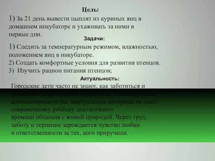 Цель: 1) За 21 день вывести цыплят из куриных яиц в домашнем