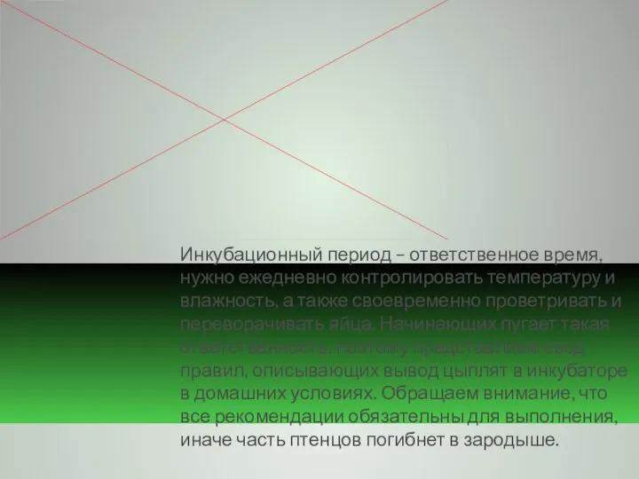 Инкубационный период – ответственное время, нужно ежедневно контролировать температуру и влажность, а