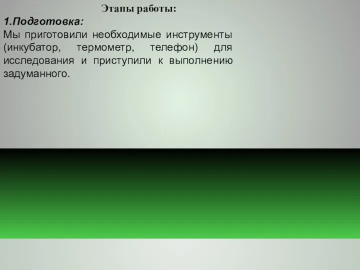 Этапы работы: 1.Подготовка: Мы приготовили необходимые инструменты (инкубатор, термометр, телефон) для исследования