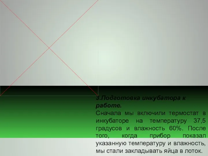 3.Подготовка инкубатора к работе. Сначала мы включили термостат в инкубаторе на температуру