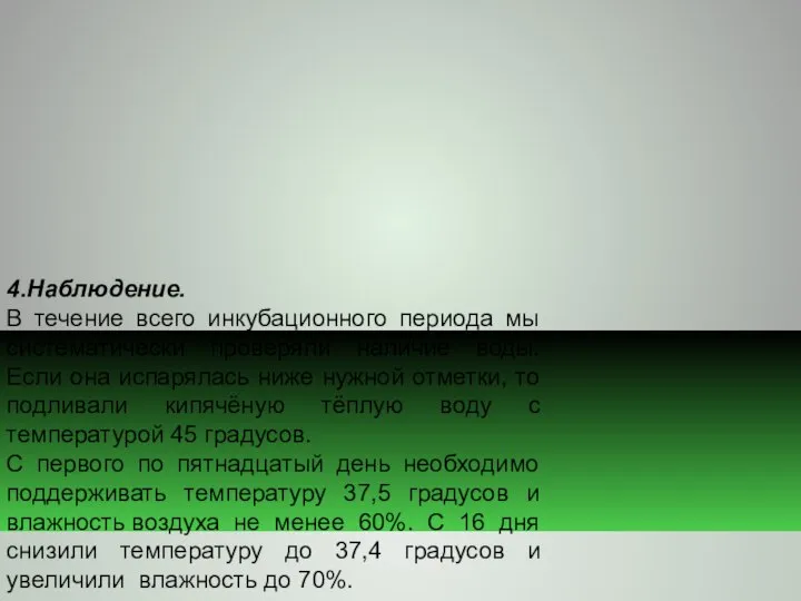 4.Наблюдение. В течение всего инкубационного периода мы систематически проверяли наличие воды. Если