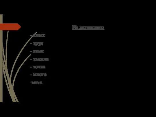 Из латинского - класс - труд - язык - тысяча - точка - много -мята