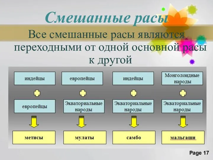 Смешанные расы Все смешанные расы являются переходными от одной основной расы к другой