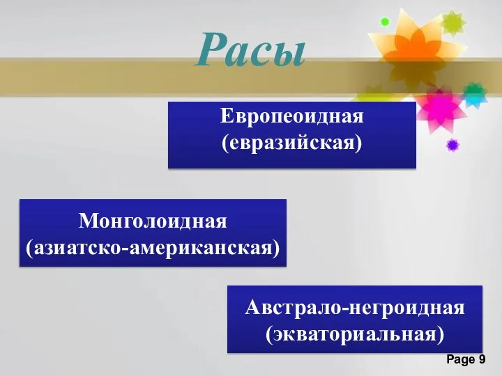 Расы Монголоидная (азиатско-американская) Австрало-негроидная (экваториальная) Европеоидная (евразийская)