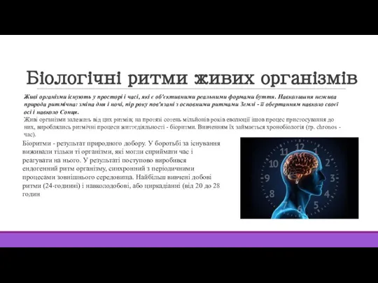 Біологічні ритми живих організмів Живі організми існують у просторі і часі, які