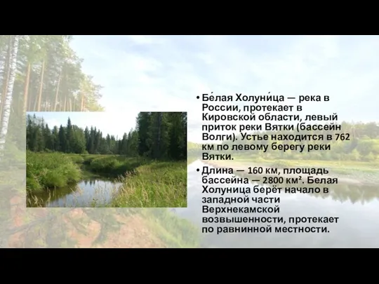 Бе́лая Холуни́ца — река в России, протекает в Кировской области, левый приток