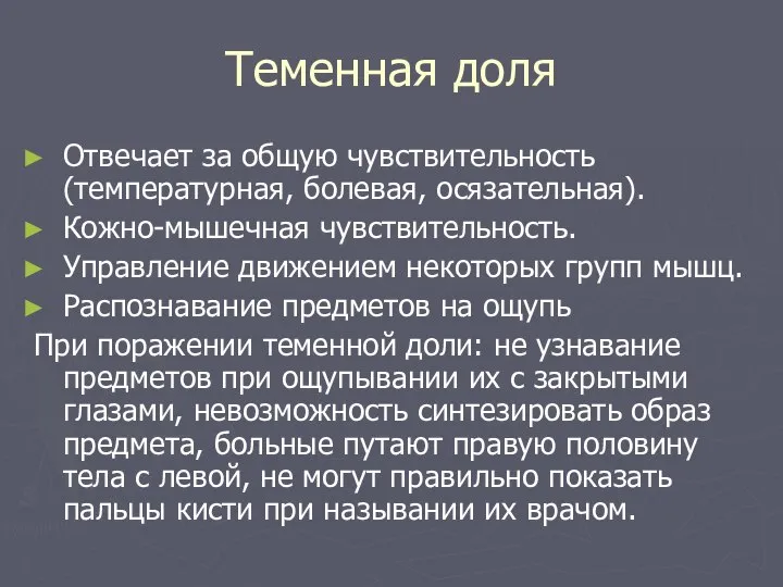 Теменная доля Отвечает за общую чувствительность (температурная, болевая, осязательная). Кожно-мышечная чувствительность. Управление