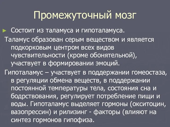 Промежуточный мозг Состоит из таламуса и гипоталамуса. Таламус образован серым веществом и