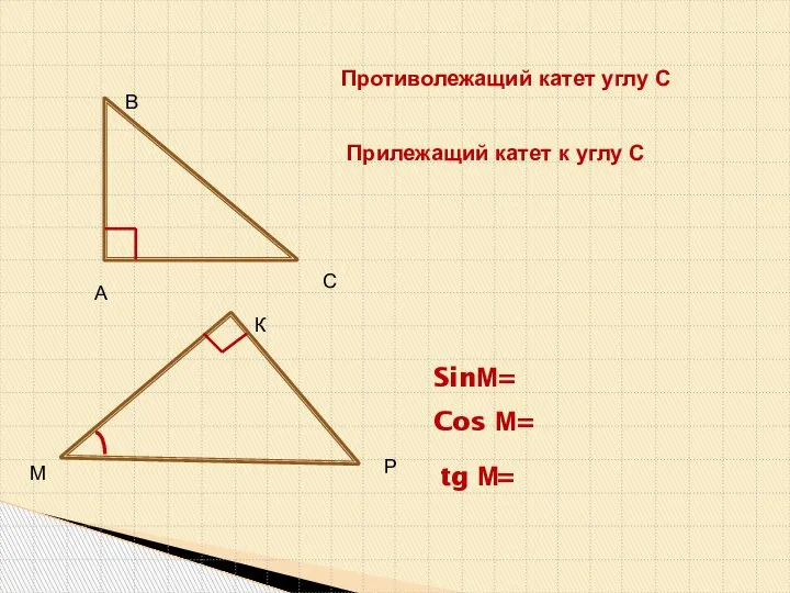 А В С М К Р Противолежащий катет углу С Прилежащий катет