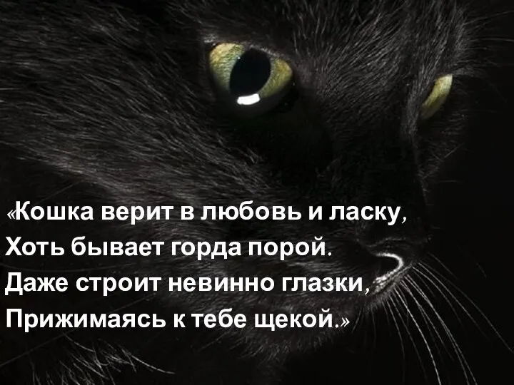 «Кошка верит в любовь и ласку, Хоть бывает горда порой. Даже строит