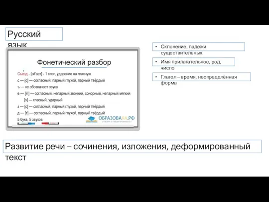 Русский язык Склонение, падежи существительных Имя прилагательное, род, число Глагол – время,