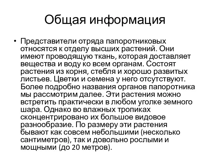 Общая информация Представители отряда папоротниковых относятся к отделу высших растений. Они имеют