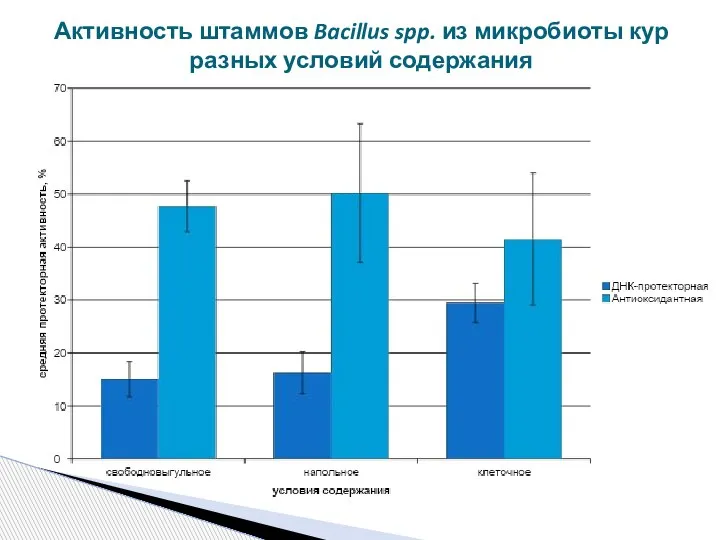 Активность штаммов Bacillus spp. из микробиоты кур разных условий содержания