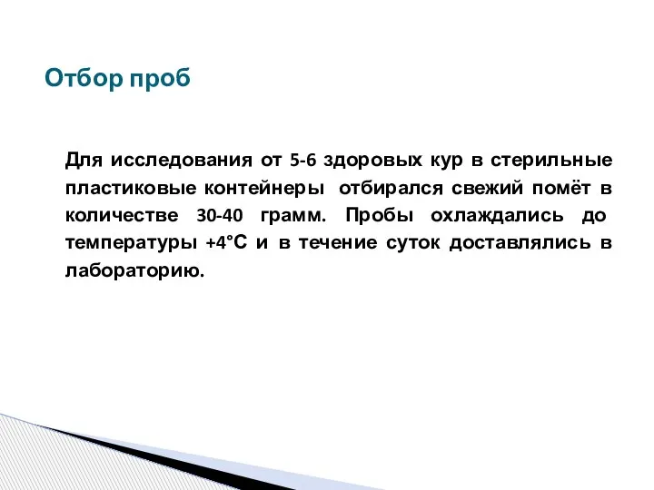 Для исследования от 5-6 здоровых кур в стерильные пластиковые контейнеры отбирался свежий