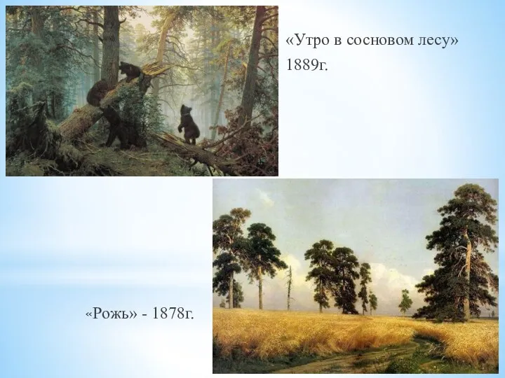 «Рожь» - 1878г. «Утро в сосновом лесу» 1889г.