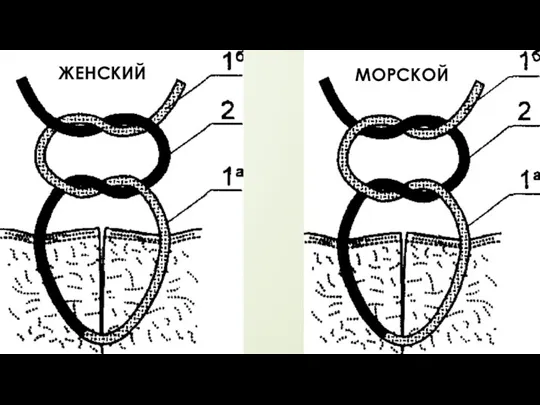 ЖЕНСКИЙ МОРСКОЙ