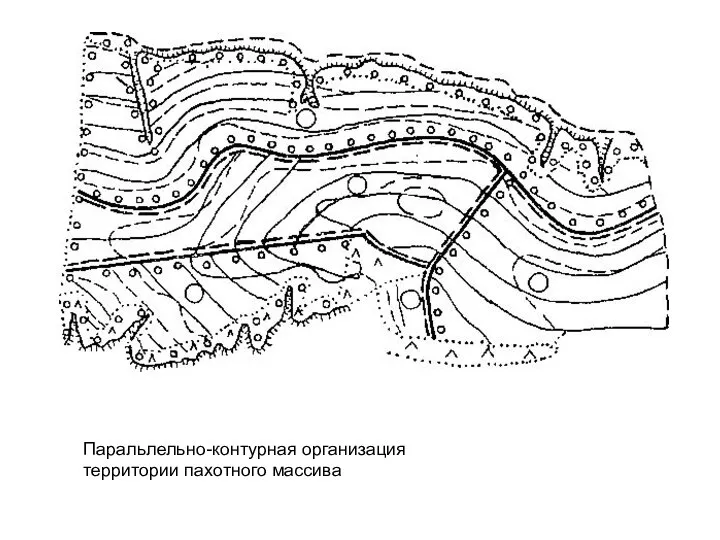 Паральлельно-контурная организация территории пахотного массива