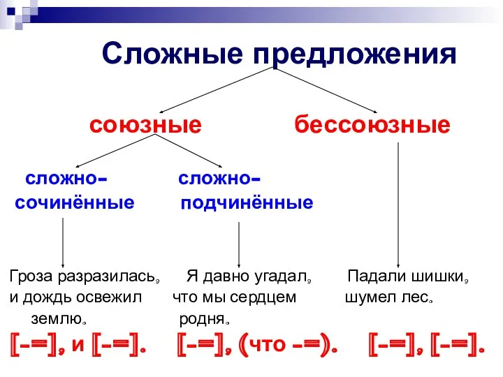 Сложные предложения союзные бессоюзные сложно- сложно- сочинённые подчинённые Гроза разразилась, Я давно