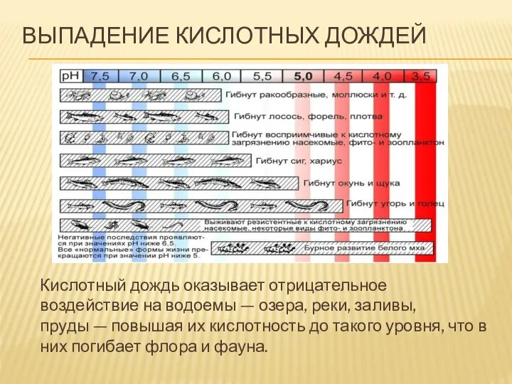 ВЫПАДЕНИЕ КИСЛОТНЫХ ДОЖДЕЙ Кислотный дождь оказывает отрицательное воздействие на водоемы — озера,