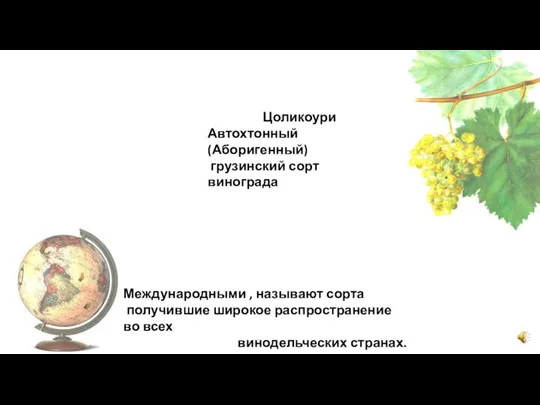 Цоликоури Автохтонный (Аборигенный) грузинский сорт винограда Международными , называют сорта получившие широкое