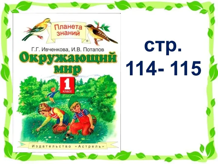 стр. 114- 115