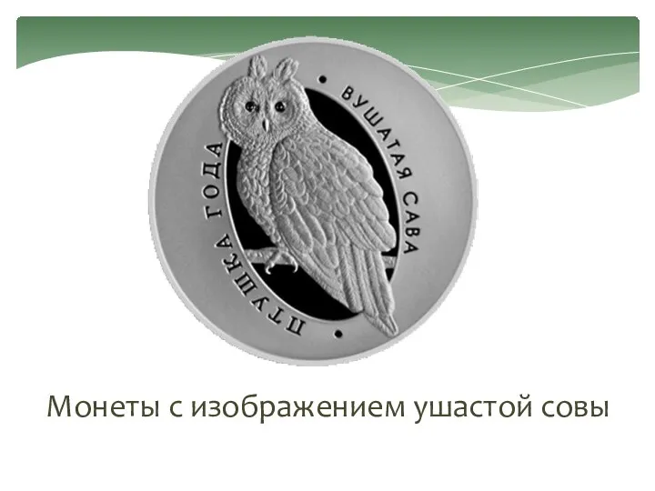 Монеты с изображением ушастой совы