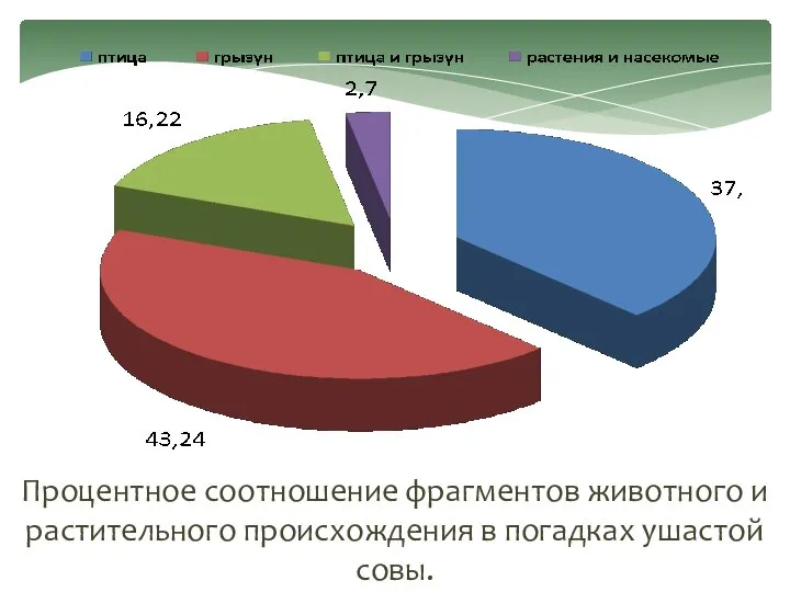 Процентное соотношение фрагментов животного и растительного происхождения в погадках ушастой совы.