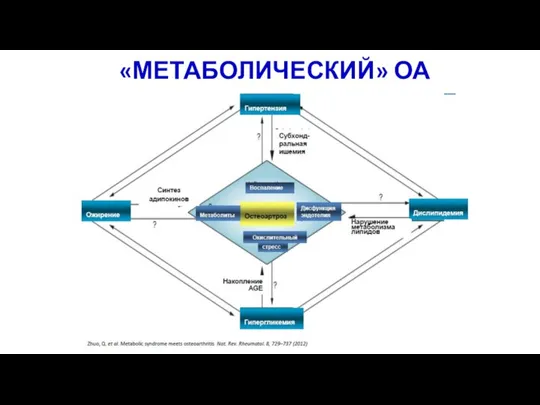 «МЕТАБОЛИЧЕСКИЙ» ОА