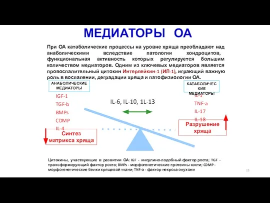 МЕДИАТОРЫ ОА При ОА катаболические процессы на уровне хряща преобладают над анаболическими