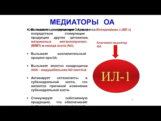 МЕДИАТОРЫ ОА Вызывает повреждение хряща посредством стимуляции продукции других цитокинов, матриксных металлопротеаз