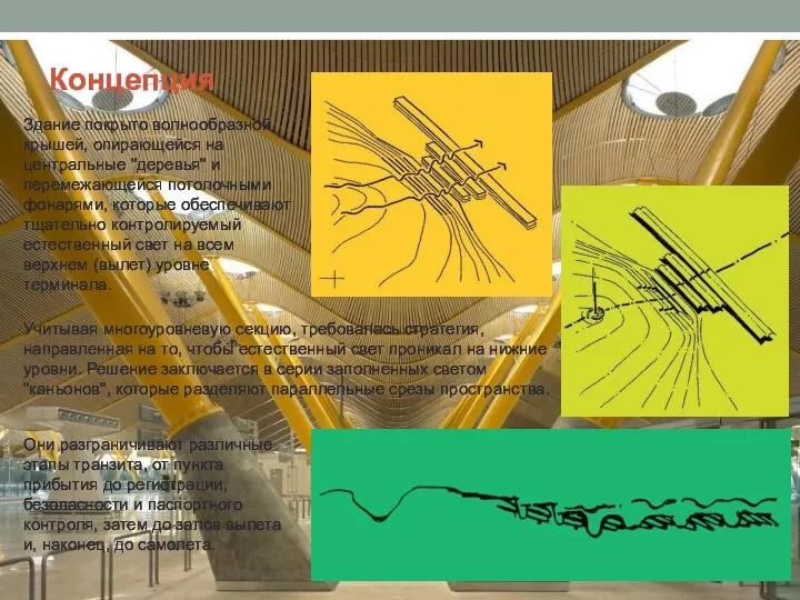 Концепция Здание покрыто волнообразной крышей, опирающейся на центральные "деревья" и перемежающейся потолочными
