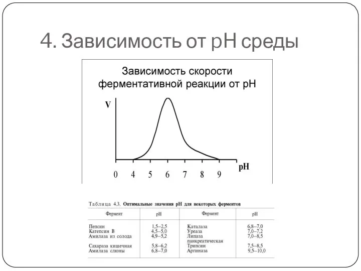 4. Зависимость от pH среды