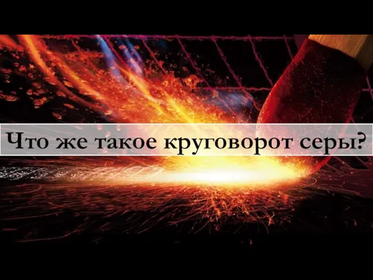 Что же такое круговорот серы?