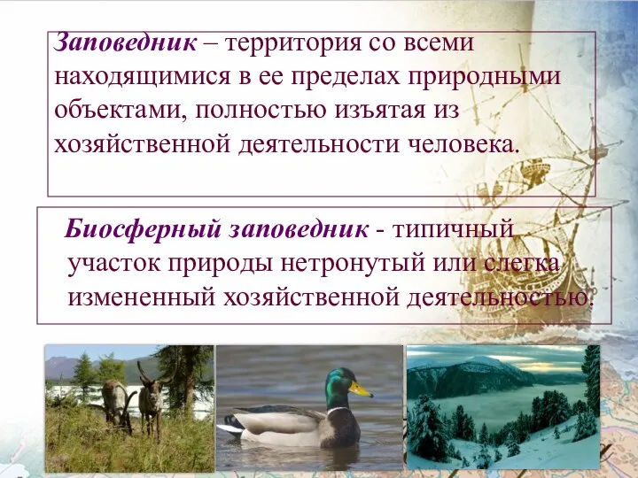 Заповедник – территория со всеми находящимися в ее пределах природными объектами, полностью