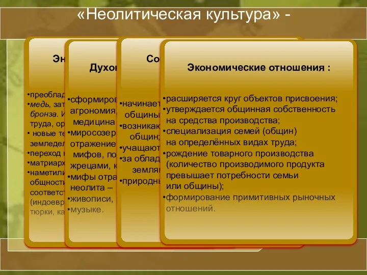 «Неолитическая культура» -