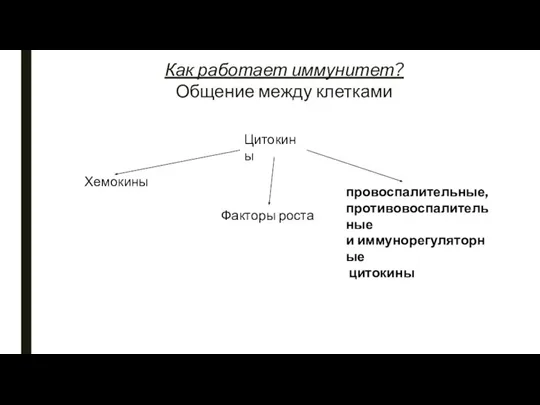 Общение между клетками Как работает иммунитет? Цитокины Хемокины Факторы роста провоспалительные, противовоспалительные и иммунорегуляторные цитокины