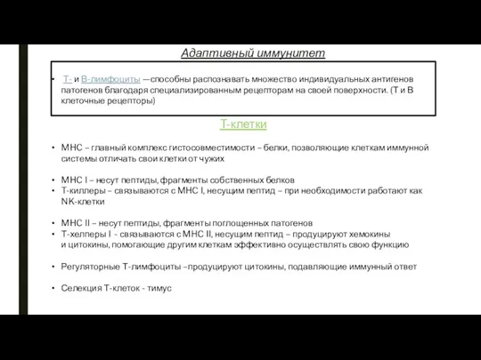 Адаптивный иммунитет Т- и В-лимфоциты —способны распознавать множество индивидуальных антигенов патогенов благодаря