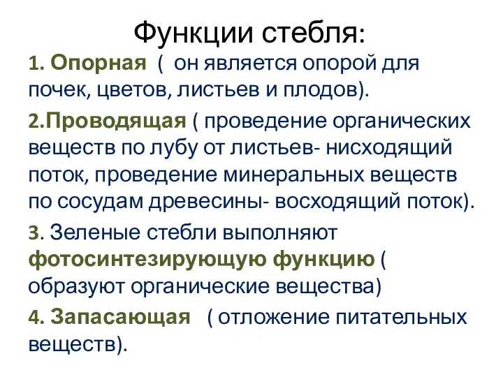 1. Опорная ( он является опорой для почек, цветов, листьев и плодов).