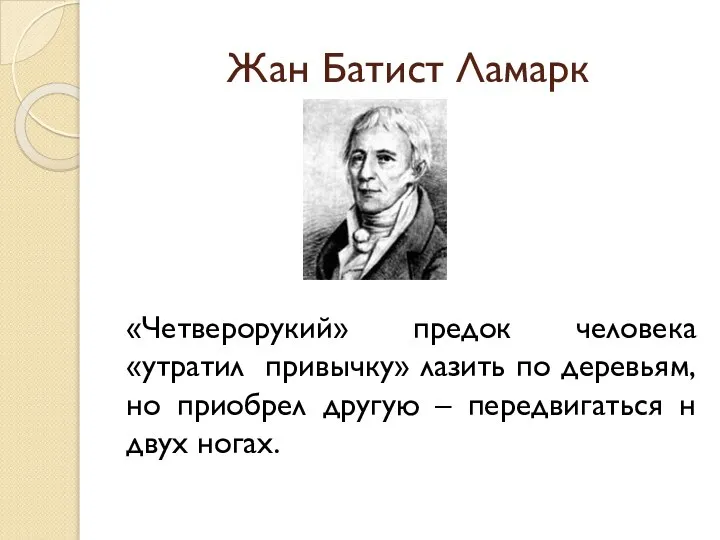 Жан Батист Ламарк «Четверорукий» предок человека «утратил привычку» лазить по деревьям, но