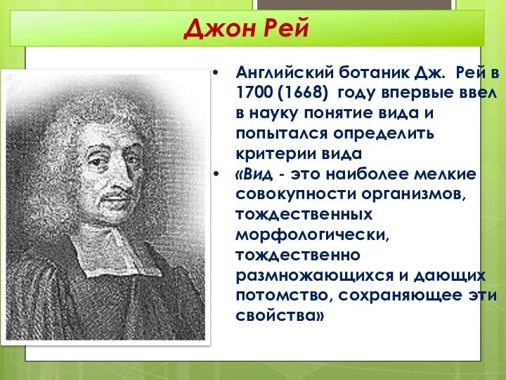 Английский ботаник Дж. Рей в 1700 (1668) году впервые ввел в науку