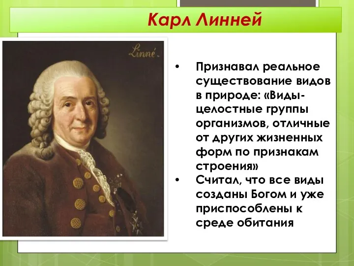 Признавал реальное существование видов в природе: «Виды-целостные группы организмов, отличные от других