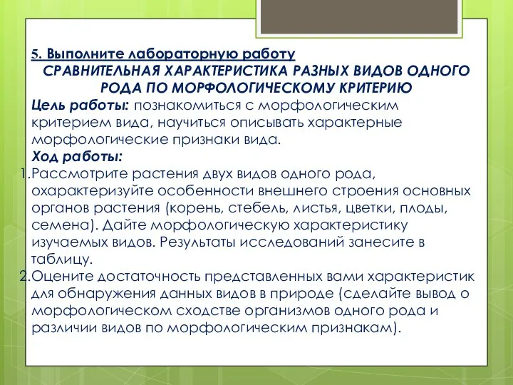 5. Выполните лабораторную работу СРАВНИТЕЛЬНАЯ ХАРАКТЕРИСТИКА РАЗНЫХ ВИДОВ ОДНОГО РОДА ПО МОРФОЛОГИЧЕСКОМУ